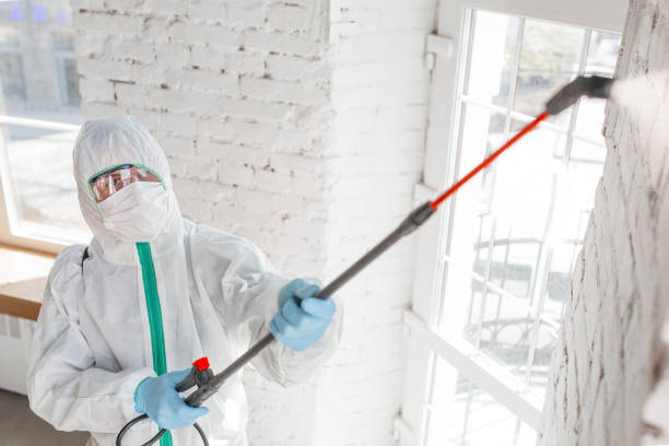 Best Dehumidification Services  in Mystic, CT
