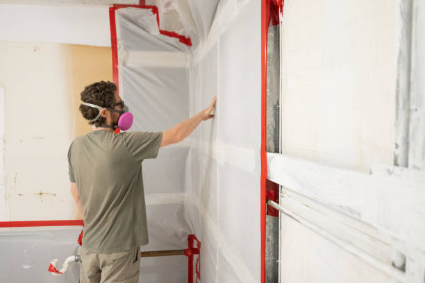 Best Water Damage & Mold Remediation  in Mystic, CT
