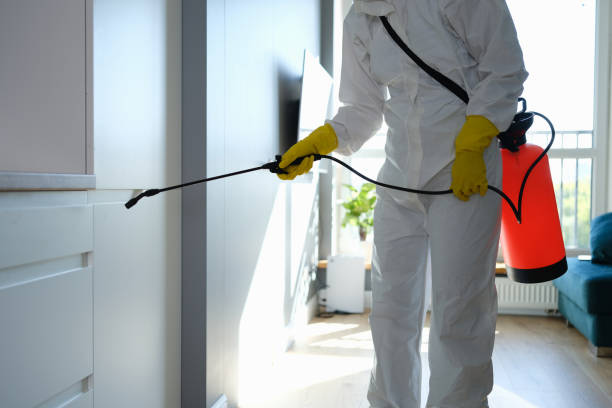 Best Comprehensive Air Testing for Mold Contaminants  in Mystic, CT