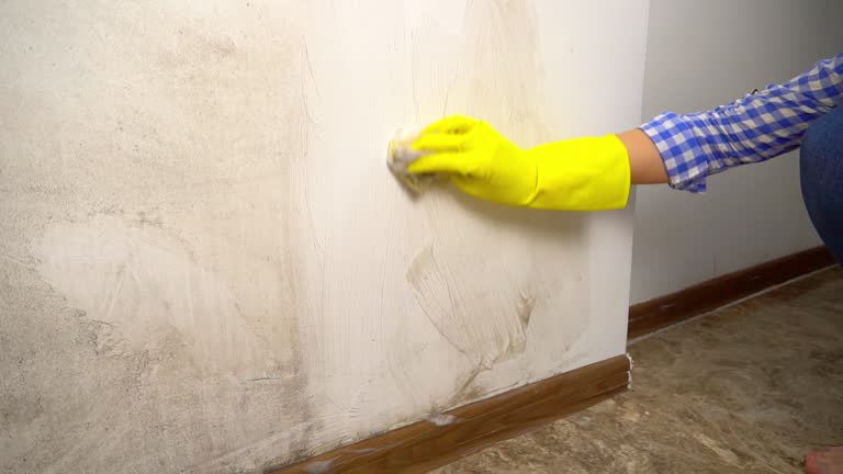 Mold Remediation for Rental Properties in Mystic, CT